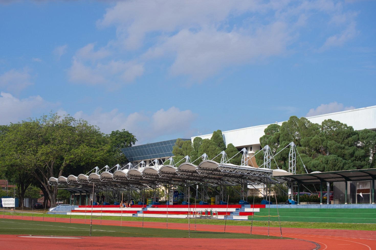 Psychologia sukcesu w sporcie: siła zdeterminowanego umysłu